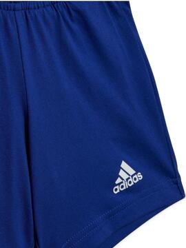 Conjunto Adidas Bos Gris/Azul Niño