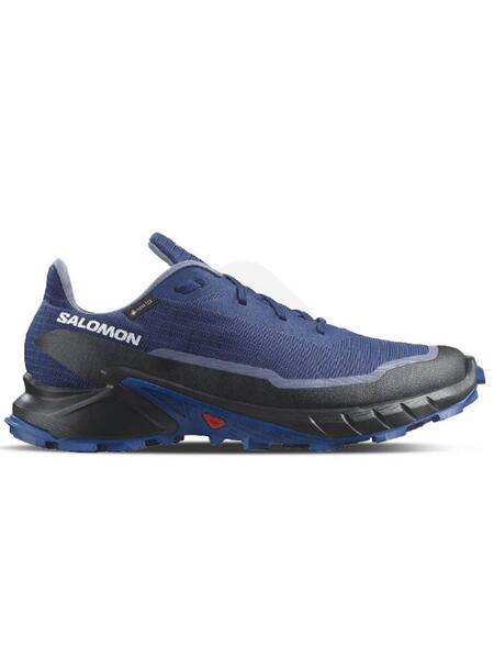 Zapatilla Salomon Alphacross 5 GTX Azul Hombre