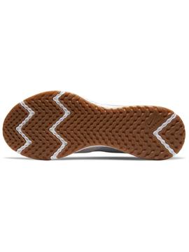 Zapatilla Nike Revolution Gris/Colores Hombre